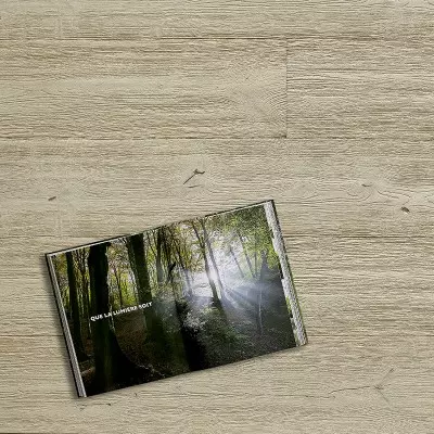 Plancher Sable Chene Lagune - 15x220x1500/2400 - choix Caract-R - mise en situation - carresol