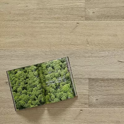 Plancher Sable Chene Cotier - 15x220x1500/2400 - choix Caract-R - mise en situation - carresol