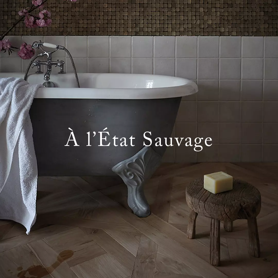 CarreSol - Collection A l'Etat Sauvage - 2023